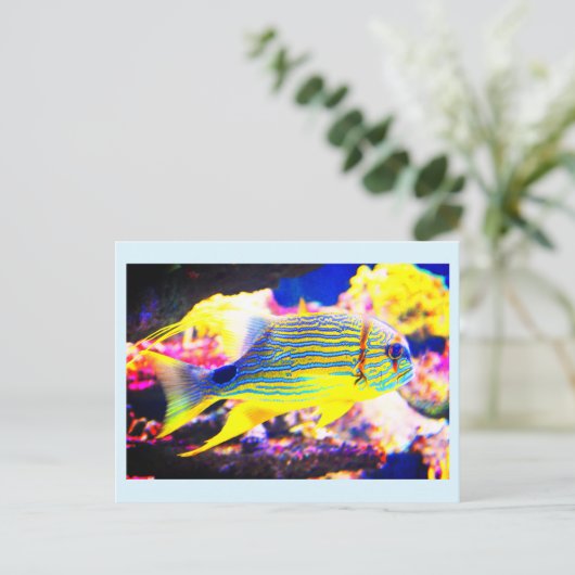 Mooie tropische vis briefkaart (Staand voorkant)