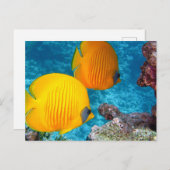 Mooie tropische vis en koraal briefkaart (Voorkant / Achterkant)