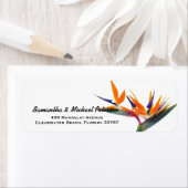 Mooie tropische vogel van het paradijs Bloem Etiket (Insitu)