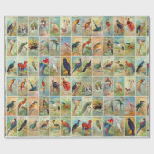 Mooie tropische vogels 19e-eeuwse illustratie cadeaupapier (Vlak)