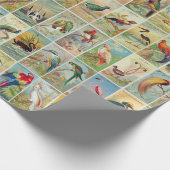 Mooie tropische vogels 19e-eeuwse illustratie cadeaupapier (Hoek)