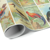 Mooie tropische vogels 19e-eeuwse illustratie cadeaupapier (Rol Hoek)