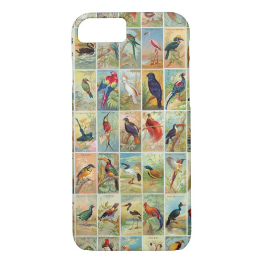 Mooie tropische vogels 19e-eeuwse illustratie Case-Mate iPhone case (Achterkant)