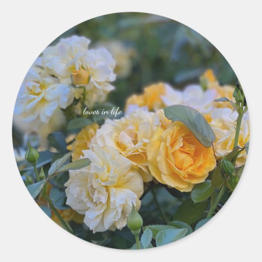 Mooie trossen van gele rozen ronde sticker (Voorkant)