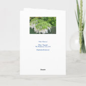 Mooie tuin afbeelding van witte wisteria ! kaart (Achterkant)