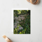 Mooie tuin notitiekaartje (Voorkant / Achterkant in situ)