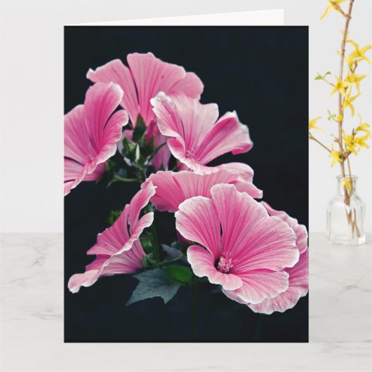 Mooie Tuin Roze Mallow Rozen Bloemen Kaart (Gele Bloem)