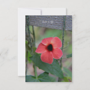 Mooie tuin wijnstok notitiekaartje