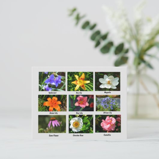 Mooie tuinbloemen briefkaart (Staand voorkant)