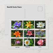 Mooie tuinbloemen briefkaart (Voorkant / Achterkant)