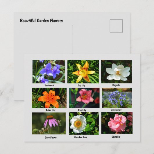 Mooie tuinbloemen briefkaart (Voorkant / Achterkant)