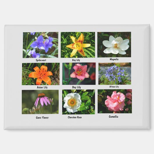Mooie tuinbloemen magneet (Voorkant)