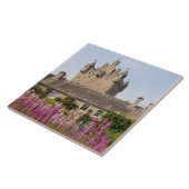 Mooie tuinen en beroemd kasteel in Schotland 2 Tegeltje (Zijkant)