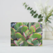 Mooie tuinen van Oxnard door het strand... Briefkaart (Staand voorkant)