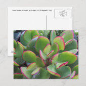 Mooie tuinen van Oxnard door het strand... Briefkaart (Voorkant / Achterkant)