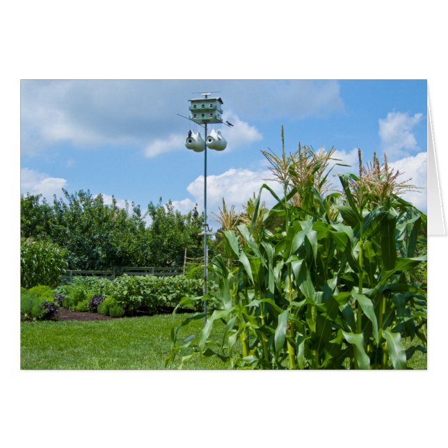 Mooie tuinfoto's (Voorkant Horizontaal)