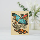 Mooie  tuinvlinders briefkaart (Staand voorkant)