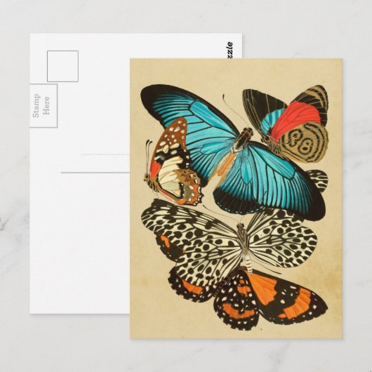 Mooie  tuinvlinders briefkaart (Voorkant / Achterkant)