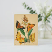 Mooie  tuinvlinders briefkaart (Staand voorkant)