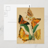 Mooie  tuinvlinders briefkaart (Voorkant / Achterkant)