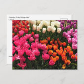 Mooie Tulip Garden Bed, Oregon Briefkaart (Voorkant / Achterkant)