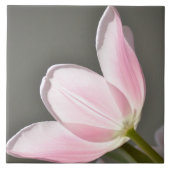 Mooie Tulip Tegeltje (Voorkant)