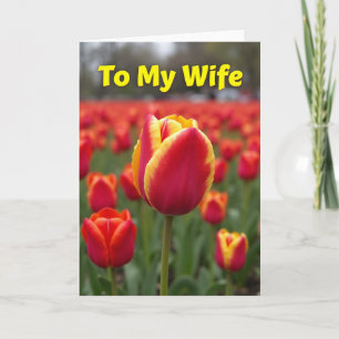 Mooie Tulp Bloem Kaart