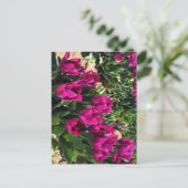 Mooie Tulpen Briefkaart (Staand voorkant)