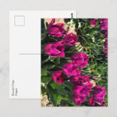 Mooie Tulpen Briefkaart (Voorkant / Achterkant)