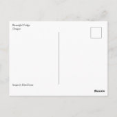 Mooie Tulpen Briefkaart (Achterkant)