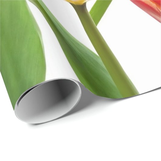 Mooie Tulpen Cadeaupapier (Rol Hoek)