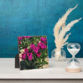 Mooie Tulpen Fotoplaat (Insitu)