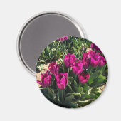 Mooie Tulpen Magneet (Voorkant / Achterkant)