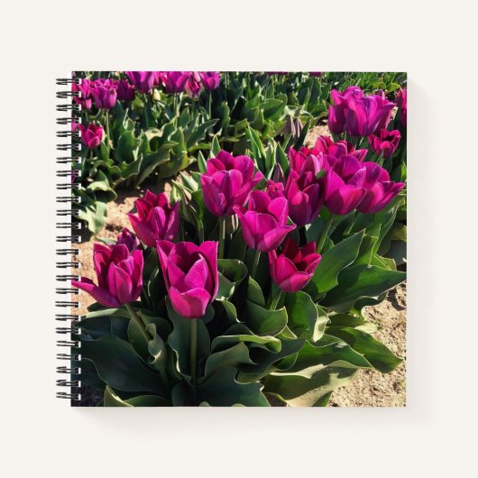 Mooie Tulpen Notitieboek (Voorkant)