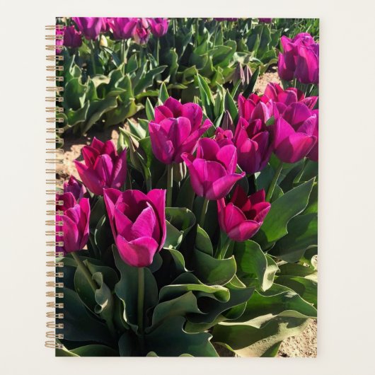 Mooie Tulpen Planner (Voorkant)