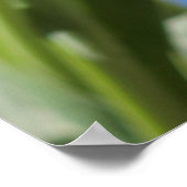 Mooie Tulpen Poster (Hoek)