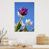 Mooie Tulpen Poster (Keuken)