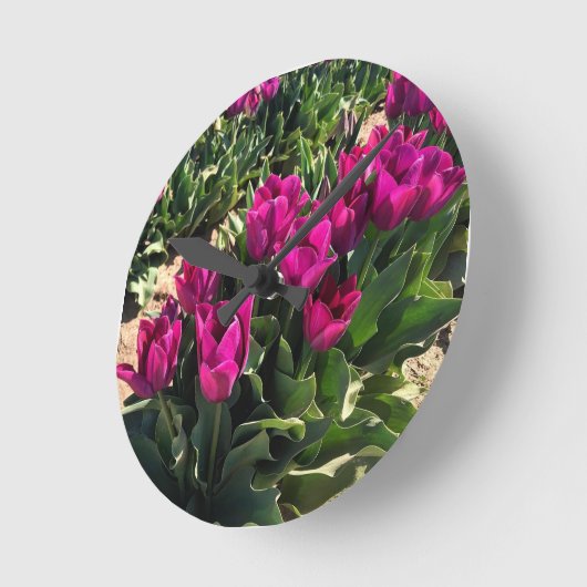 Mooie Tulpen Ronde Klok (Hoek)