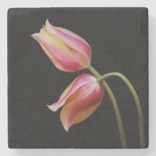 Mooie Tulpen Stenen Onderzetter