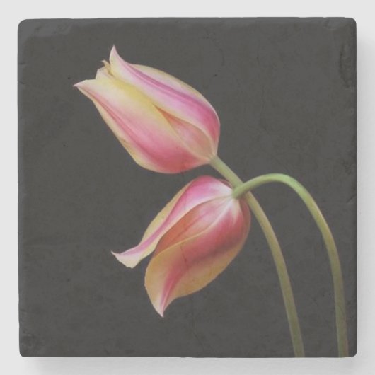 Mooie Tulpen Stenen Onderzetter (Voorkant)