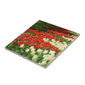 Mooie tulpen tegeltje (Zijkant)