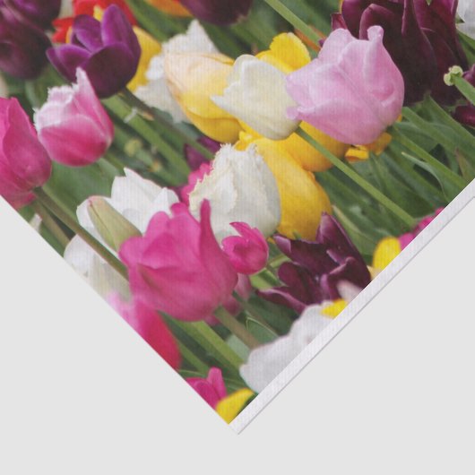 Mooie Tulpen Tissuepapier (Detail)