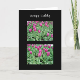 Mooie Tulpen Tuin Kaart