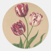 Mooie  TulpenStickers Ronde Sticker (Voorkant)
