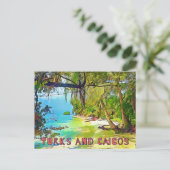 Mooie Turken en Caicos Tropische Paradijs Kunst Briefkaart (Staand voorkant)