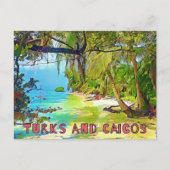Mooie Turken en Caicos Tropische Paradijs Kunst Briefkaart (Voorkant)