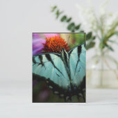 Mooie Turquoise Swallowtail Butterfly Briefkaart (Staand voorkant)