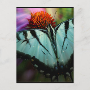 Mooie Turquoise Swallowtail Butterfly Briefkaart