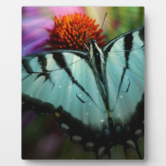 Mooie Turquoise Swallowtail Butterfly Fotoplaat (Voorkant)