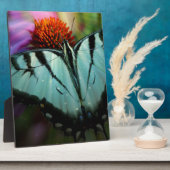 Mooie Turquoise Swallowtail Butterfly Fotoplaat (Zijkant)